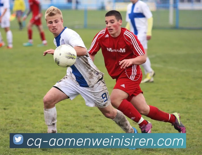 多媒体互动体验